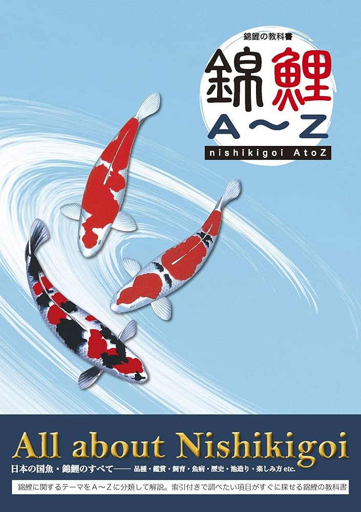 錦鯉1 錦鯉 Mix（LL) 1匹 21〜25cm前後 錦鯉 鯉 色鯉 生体 川魚