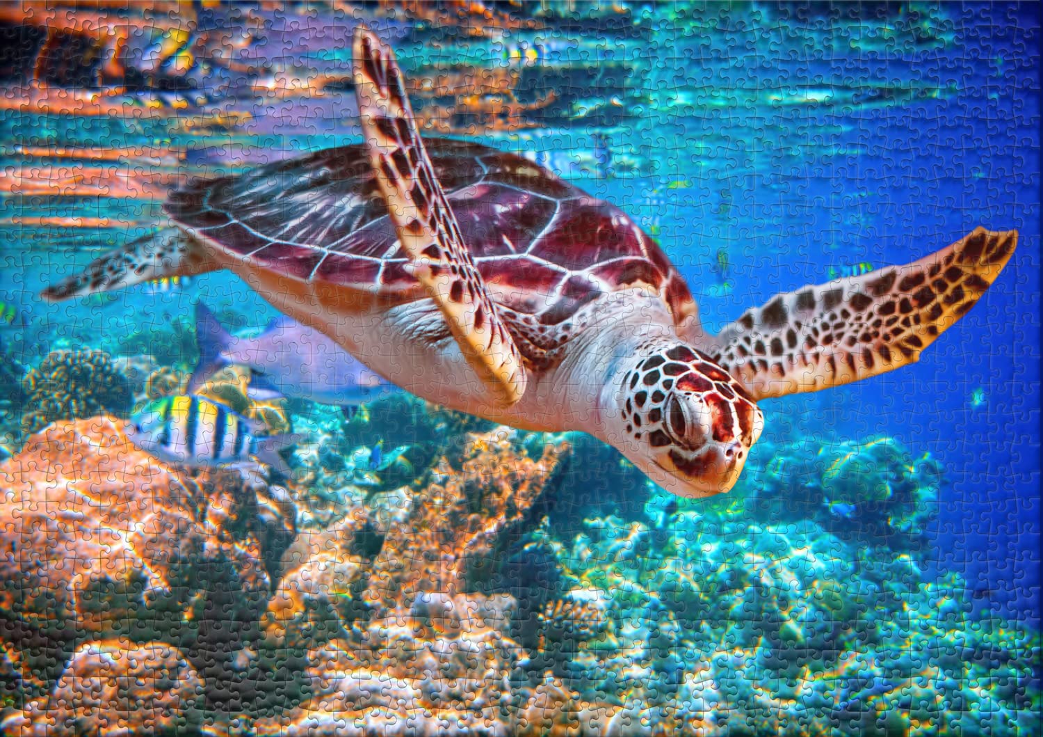 Ulmer Puzzleschmiede - Tortue de Mer - Puzzle de 2000 Pièces - Enregistrement Sous-Marin Lumineux dans la Mer du Sud
