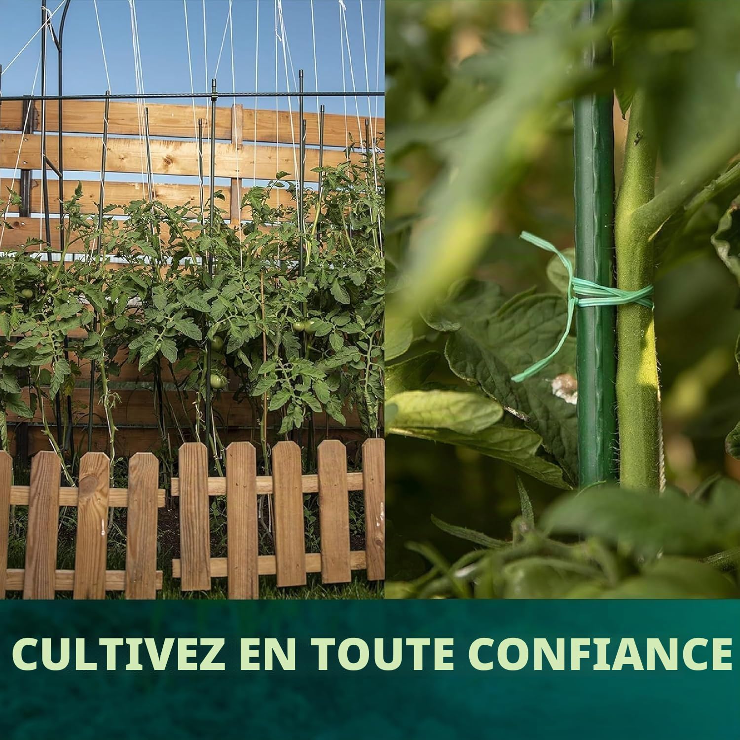 CONTROL GARDEN Lot de 30 tuteurs en acier plastifié pour plantes haute Ø 8-10 mm | croissance des plantes | Support de cultures adapté pour l'intérieur et l'extérieur (150 cm)