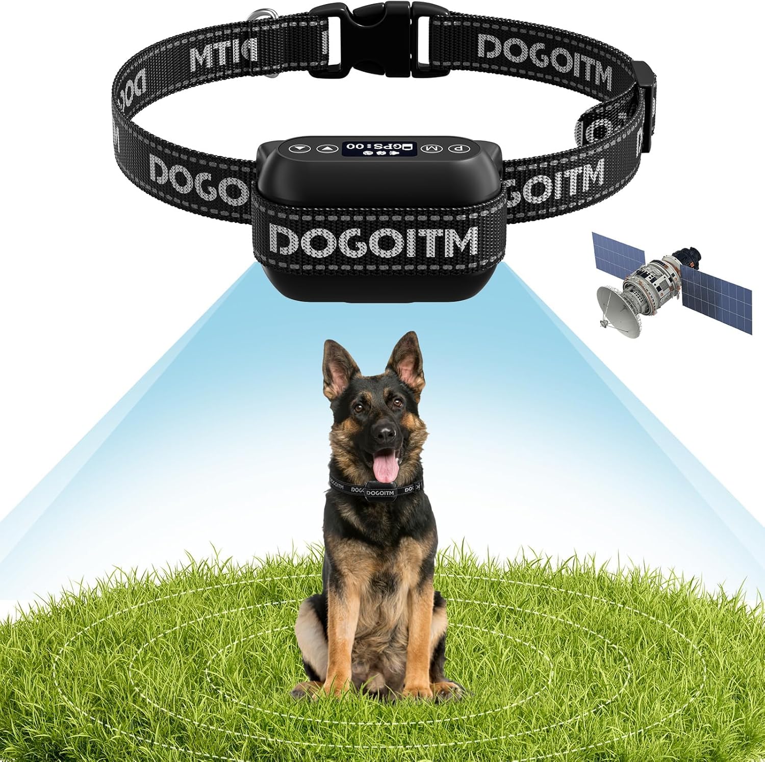 For 1 Dog For 1 Dog