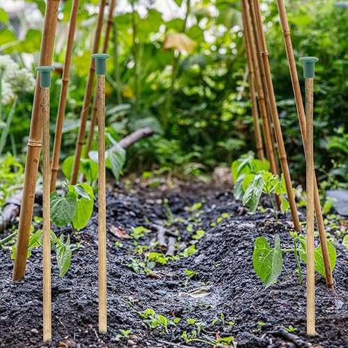 Vista 8 de Happyyami 36 tapas de bastón de seguridad para jardín, de plástico, con forma de hongo y varillas de refuerzo, tubo roscado en estacas para bastones