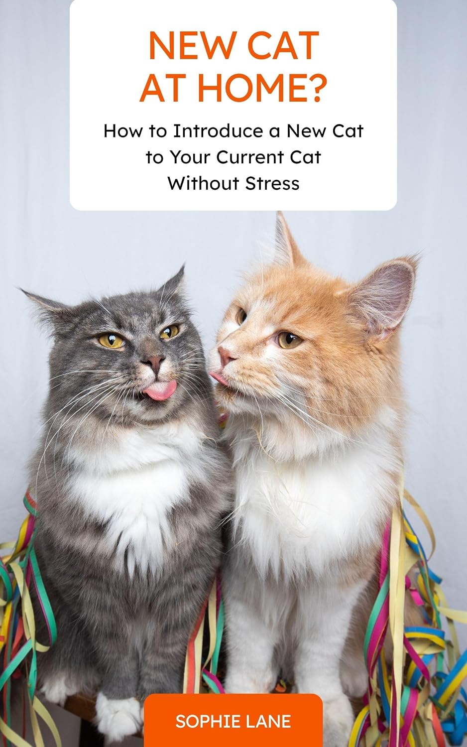 Introducing a New Cat Stress-Free Guide for Harmonious Feline Integration