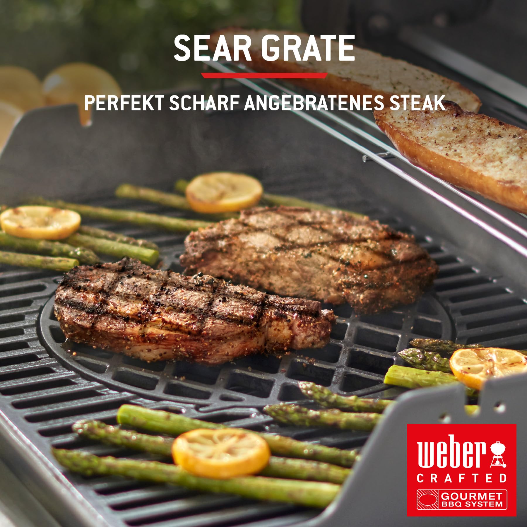 Weber Spirit E-310 Gasgrill
