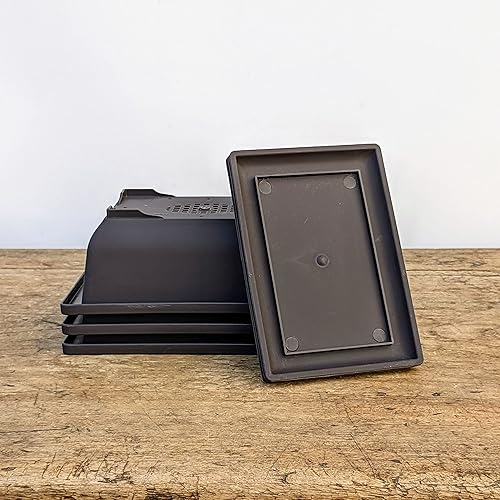 Miniatura 4 de Maceta para árbol bonsai 6 pulgadas