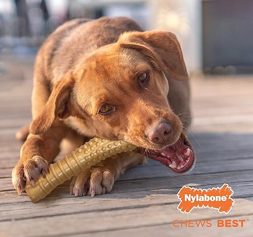 Vista 97 de Nylabone Power Chew Juguete masticable para perros, de pollo, XL/súper, para más de 50 libras