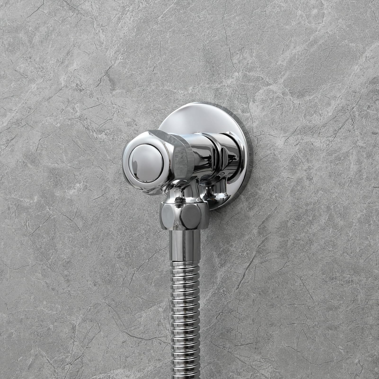 Tecmolog Douchette WC Kit Complet Acier Inox Douchette Toilette Eau Froide avec Flexible, Support, Chromé, WS024DF3