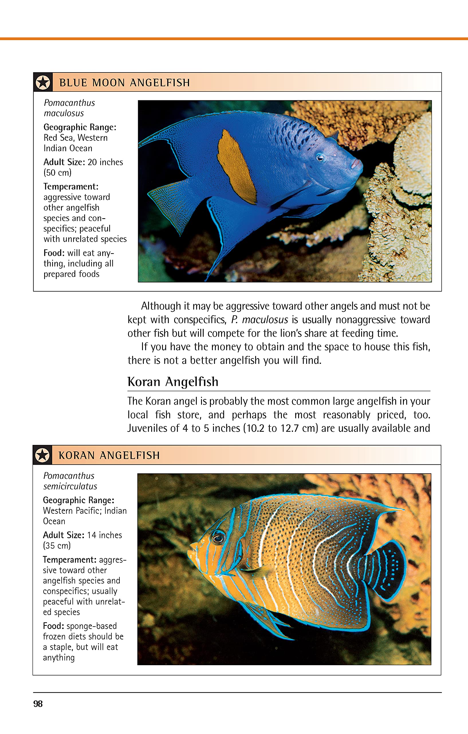 Marine Aquariums: Basic Aquarium Setup And Maintenance