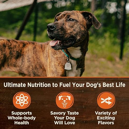 Miniatura 6 de Wellness CORE Alimento seco para perros de raza pequeña, sin granos, harina de pavo y pollo, bolsa de 4 libras, paté de comida húmeda para perros,