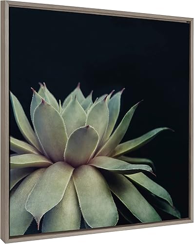 Kate and Laurel Sylvie - Lienzo decorativo para pared con 8 marcos de suculentas por Emiko y Mark Franzen de F2Images, 30 x 30 pulgadas, gris, arte