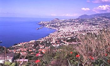 Amazon.co.jp: ドリヴェイラ マデイラ ヴェルデーリョ 1932年 [ 白