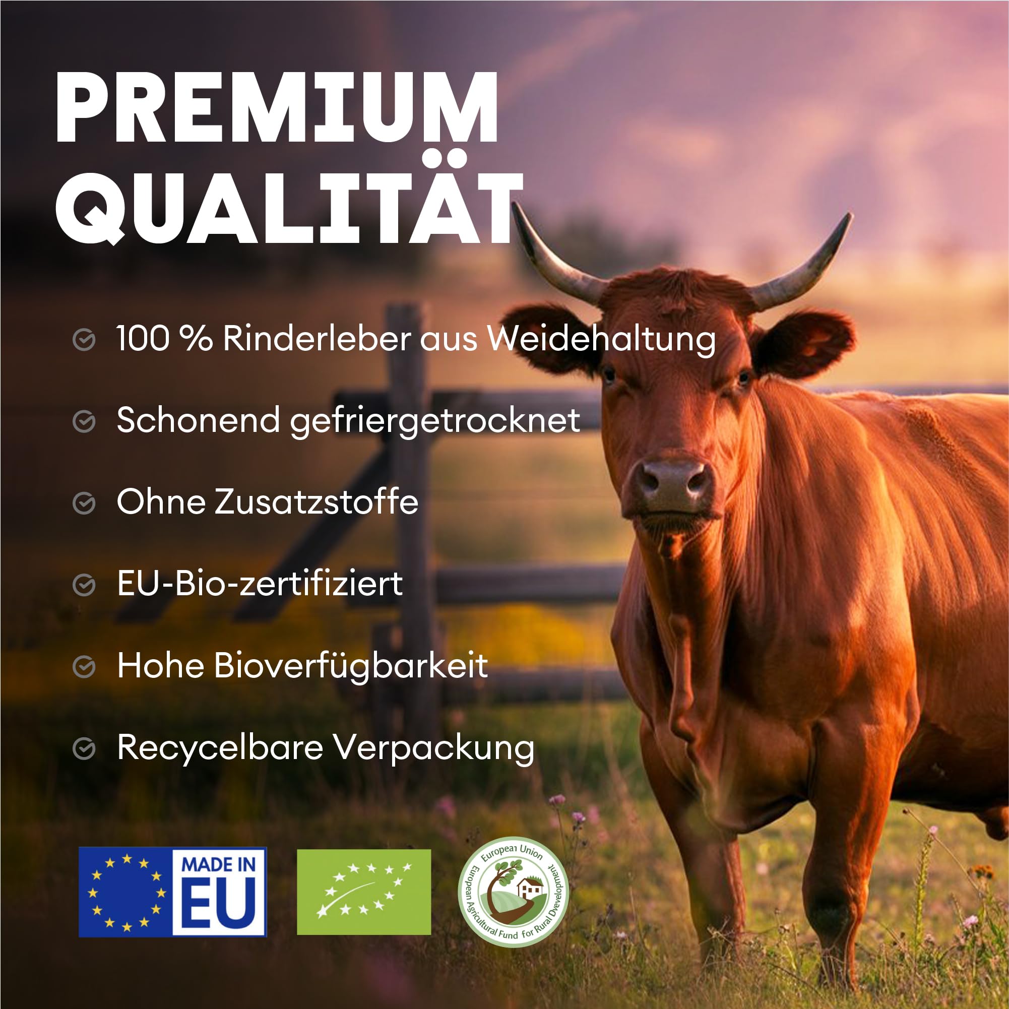 Nutriest Rinderleber Kapseln (240 Stück) – Bio-Weiderind aus Europa | 100% Weidehaltung | Für Energie, Immunsystem & Vitalität | Reich an Vitamin A, B12 & Kupfer