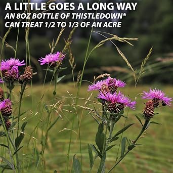 Monterey Thistledown Bundled with Measuring Spoon - Weed Killer Thistle and Clover Control Concentrate - 8 oz