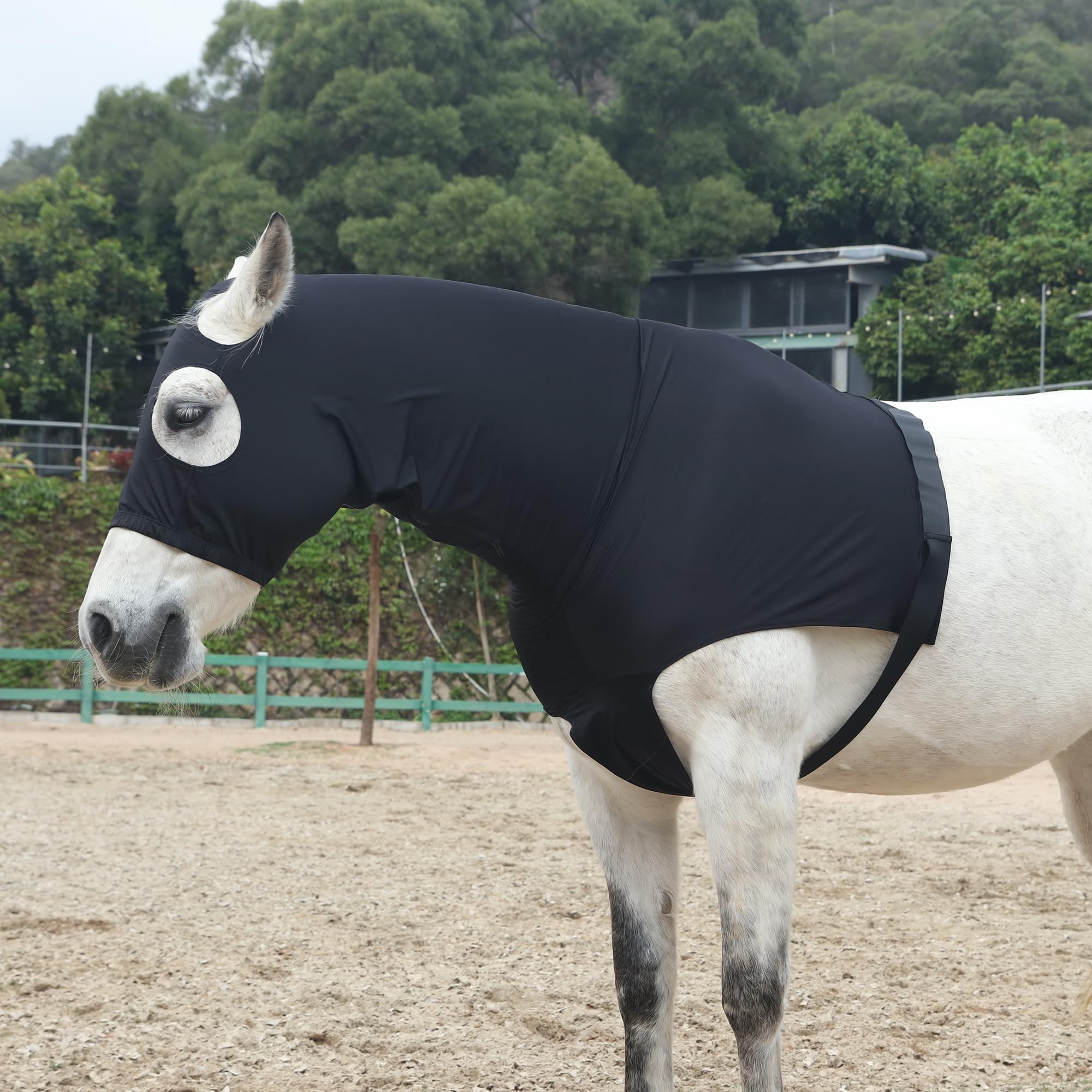 Leberna Capucha Lycra con Cremallera para Caballo XL Negro