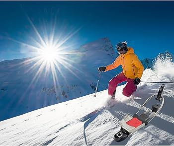 Amazon | 22DESIGNS(22デザイン) アクセル 7900182 S | 22 Designs