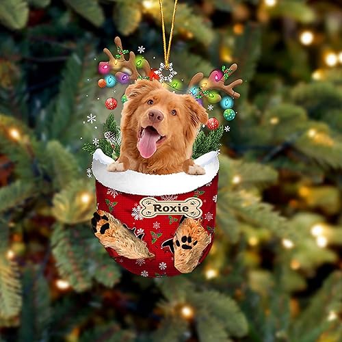 Adorno personalizado de perdiguero de pato de Nueva Escocia, perro amante del perdiguero de peaje de pato de Nueva Escocia, perro amante del