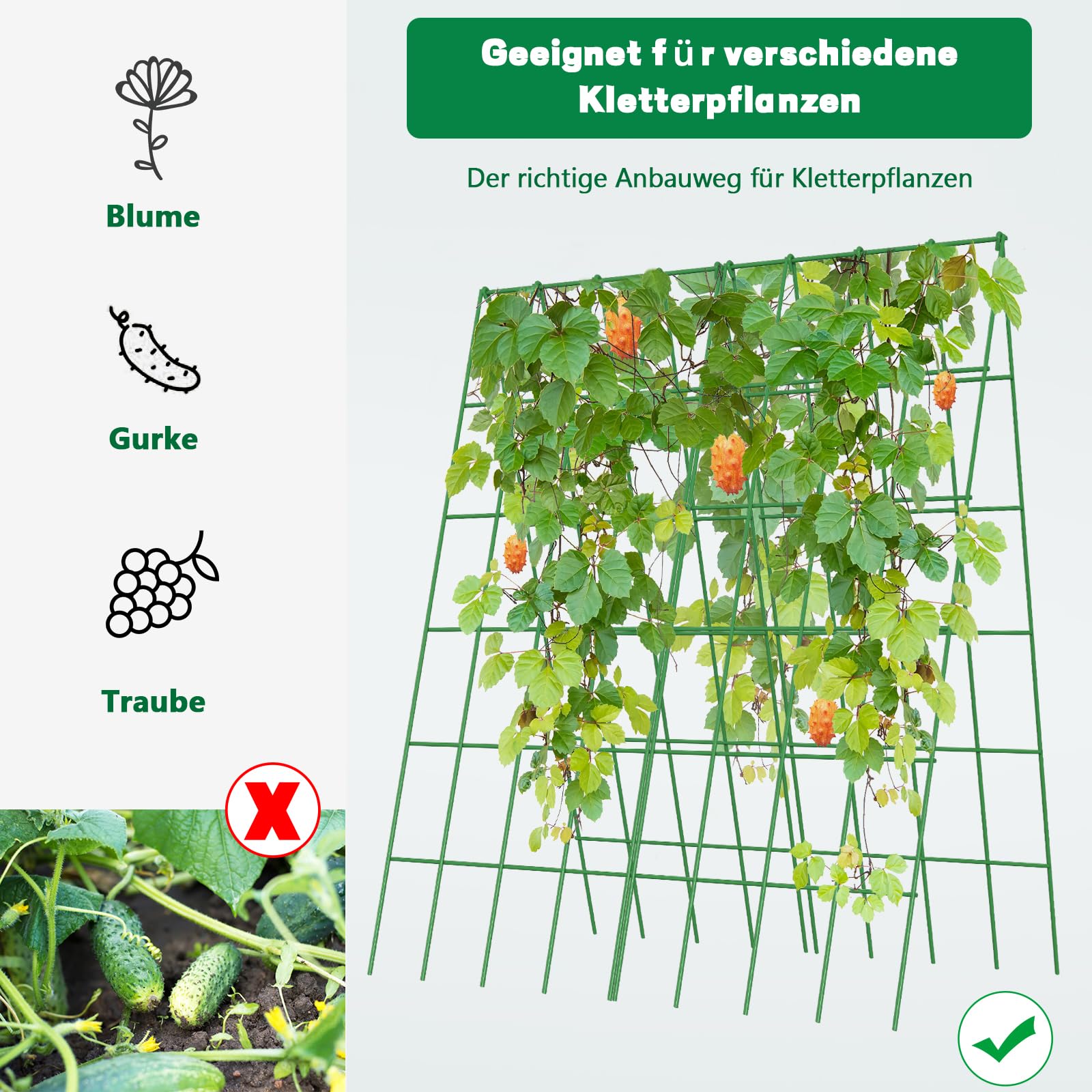 SUNYRISY Lot de 2 treillis en métal pour concombre