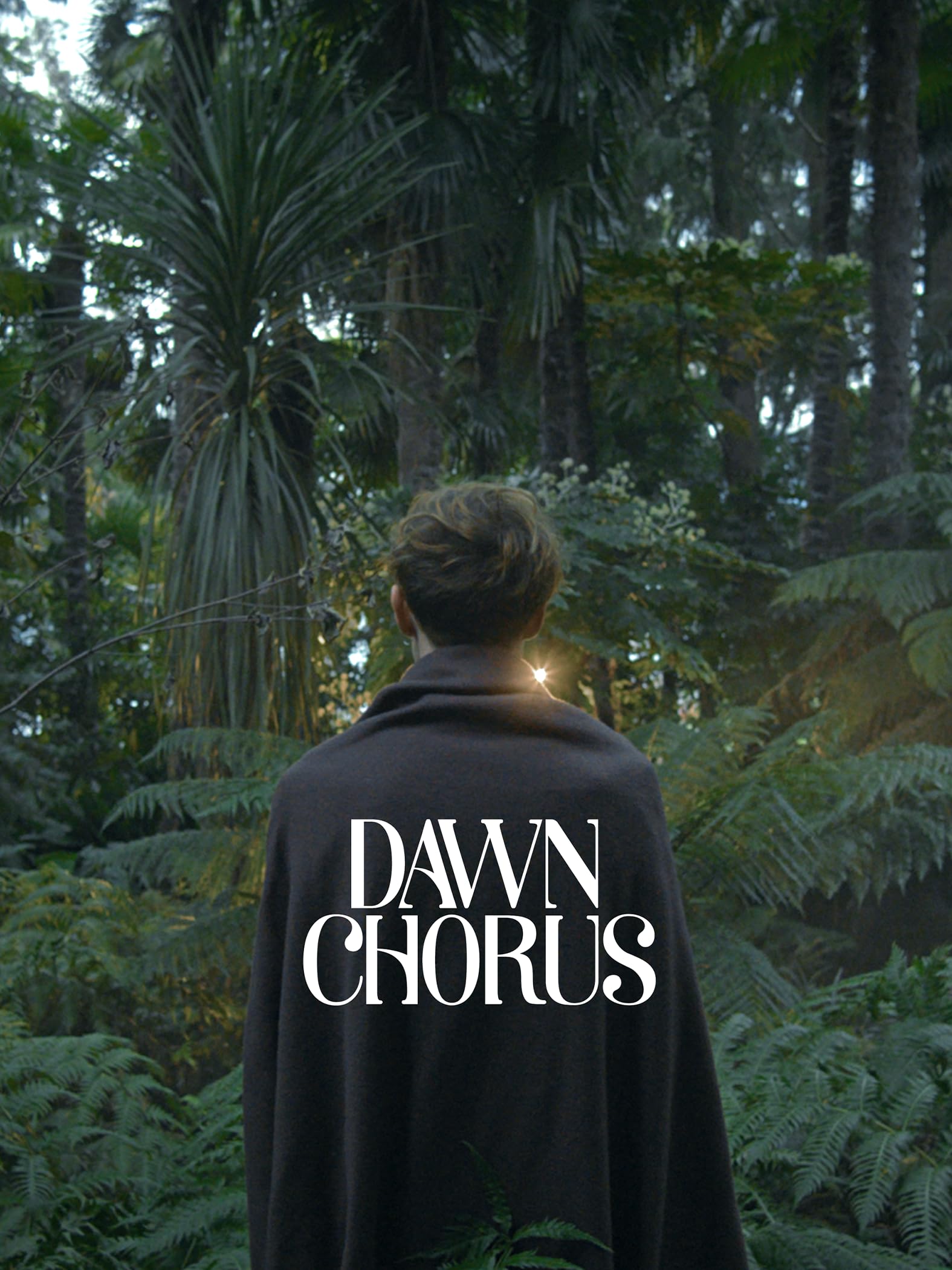 Dawn Chorus