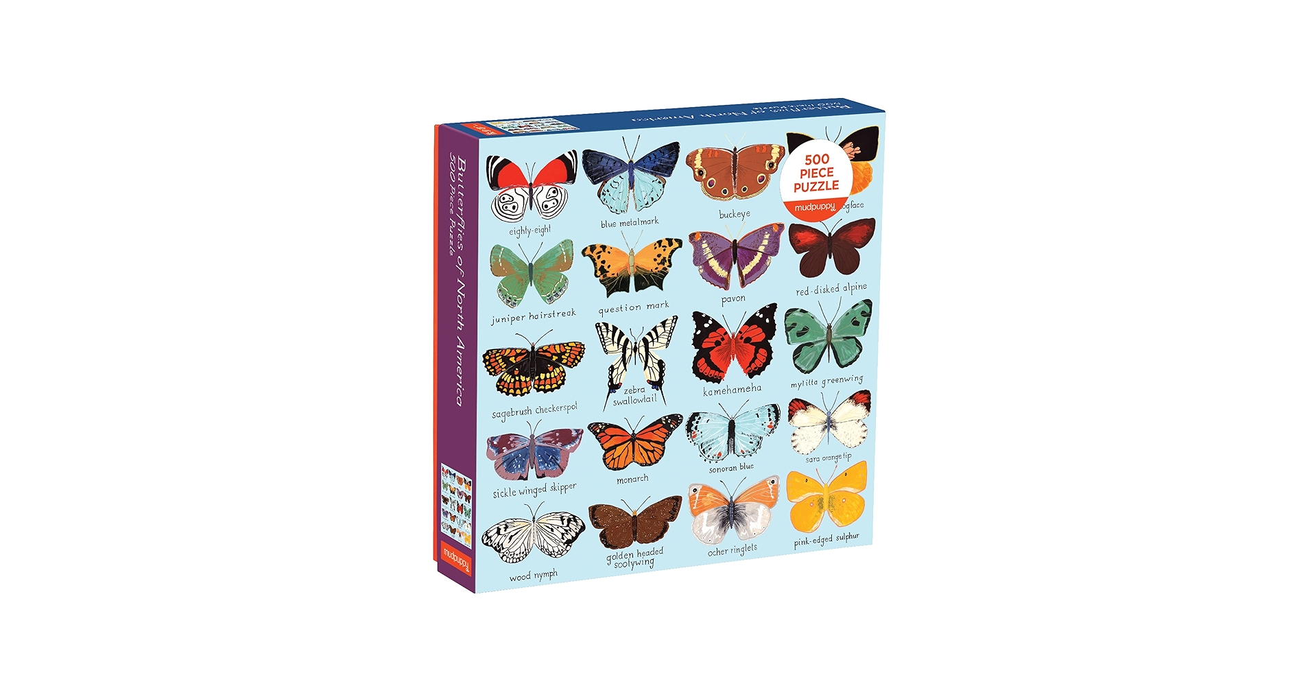 BUTTERFLY - oj chien slide_01.webp