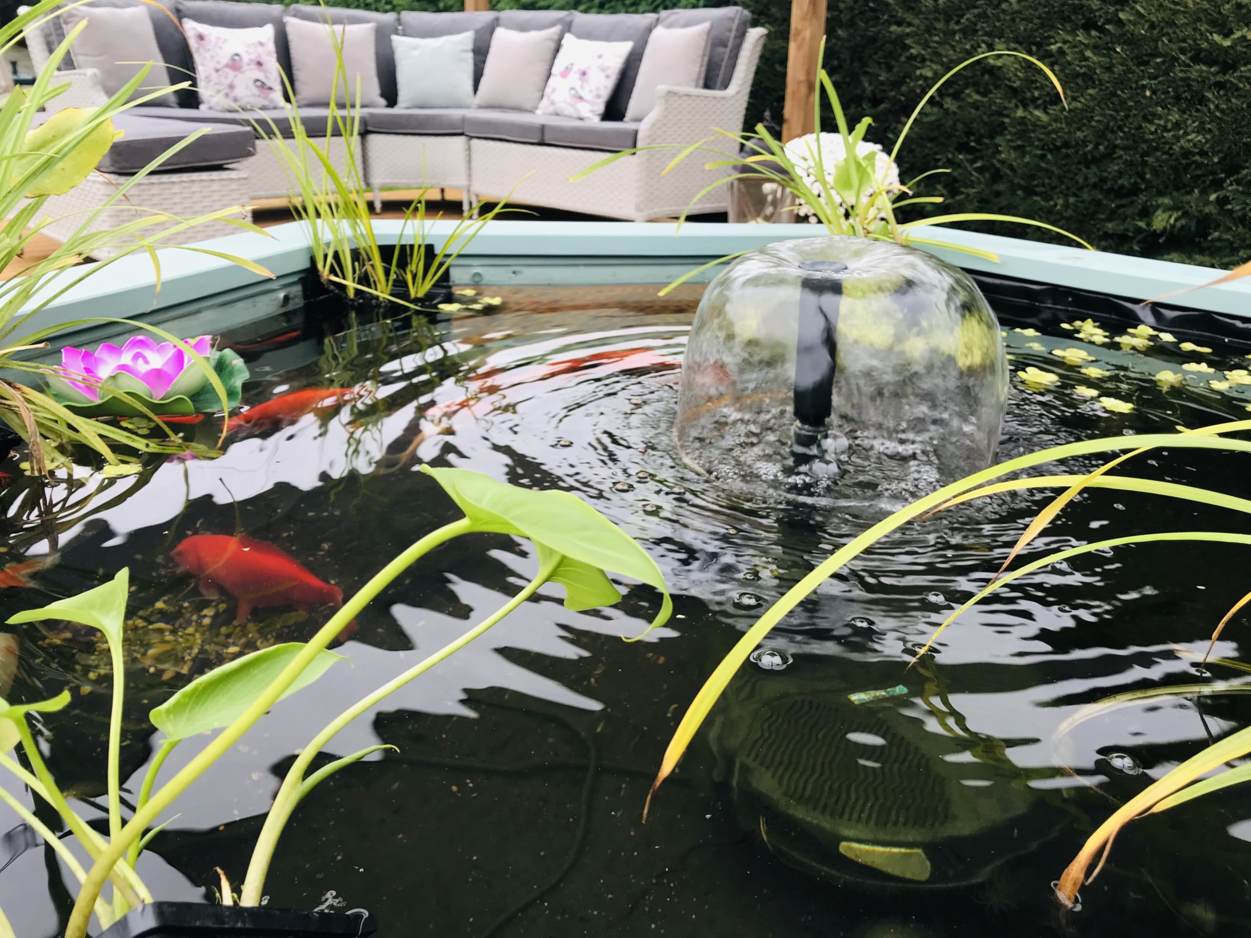 Lily Clear View Sechseckiger Garten-Aquarium Teich mit Fenstern, Seegrasgrün