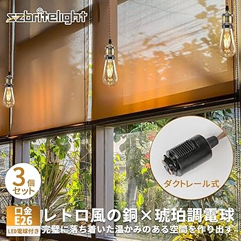 Amazon | szbritelight 配線ダクトレール用ペンダントライト 6W 電球