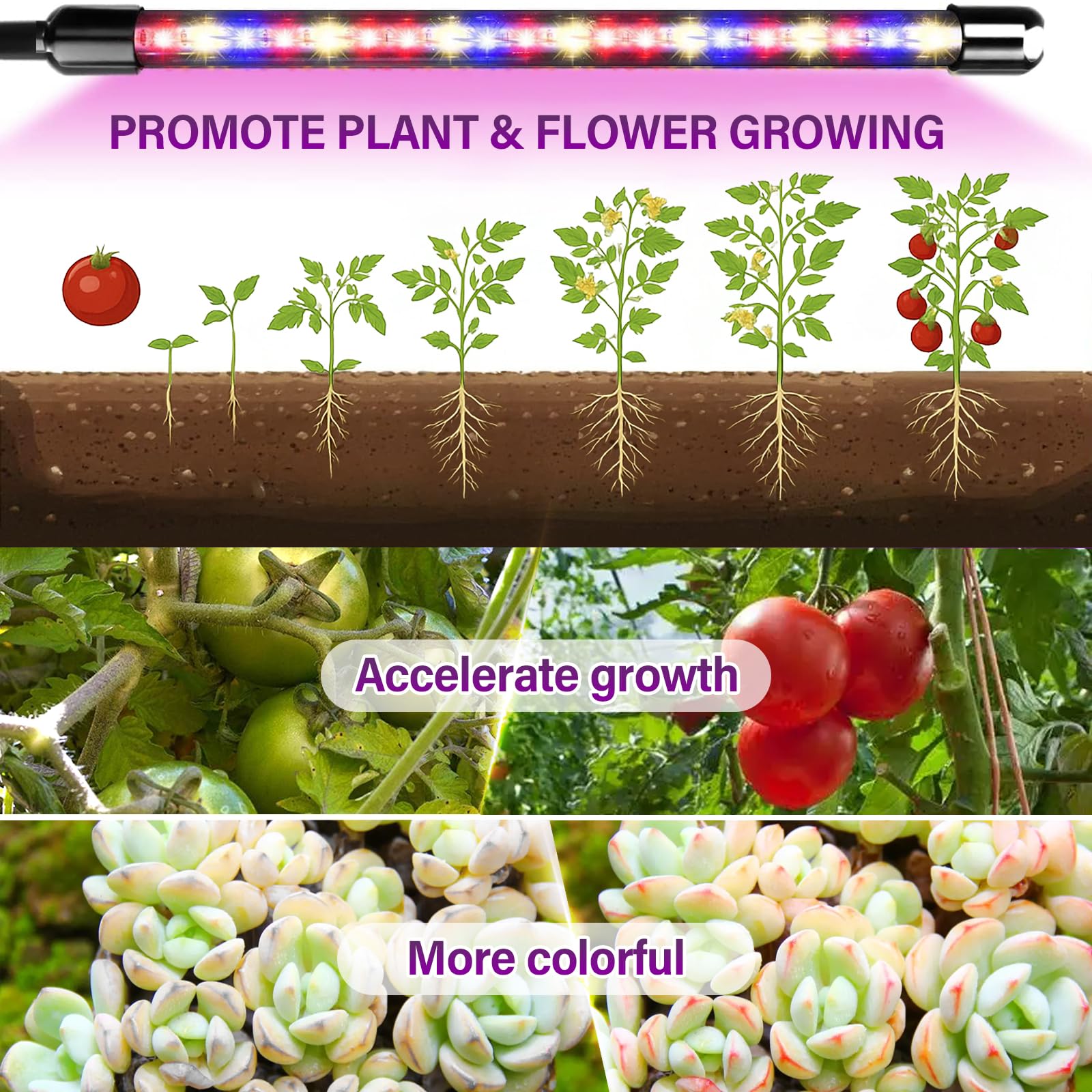 Anluomania Lámpara de Planta 4 Cabezas, Lámpara de Cultivo, Luces de Crecimiento Espectro Completo, con Soporte, Lampara de Crecimiento con Temporizador 4/8/12H, 10 Niveles Regulables, 3 Modos