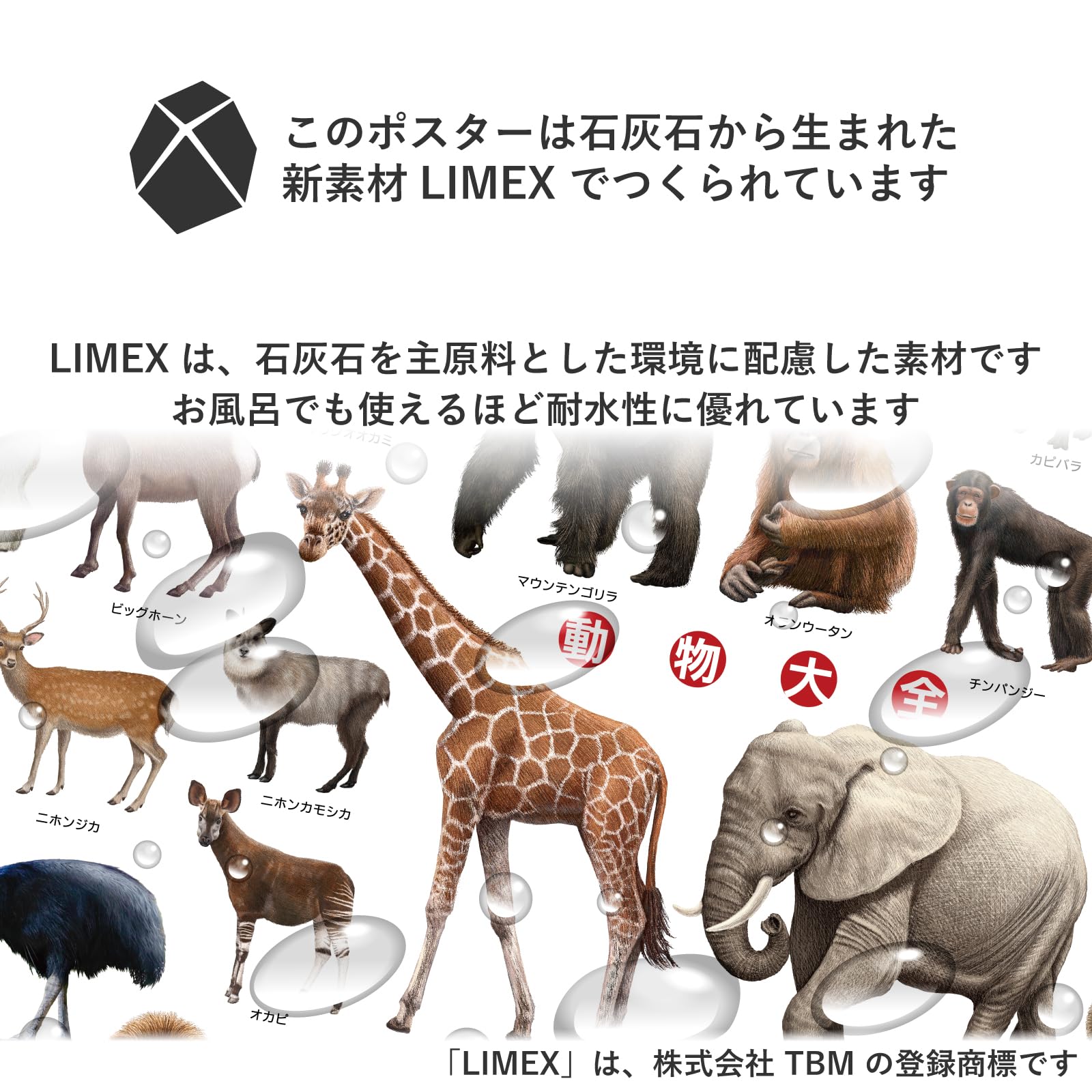 Amazon.co.jp: ザ・アクセス【動物大全 A1ポスター】動物 アニマル