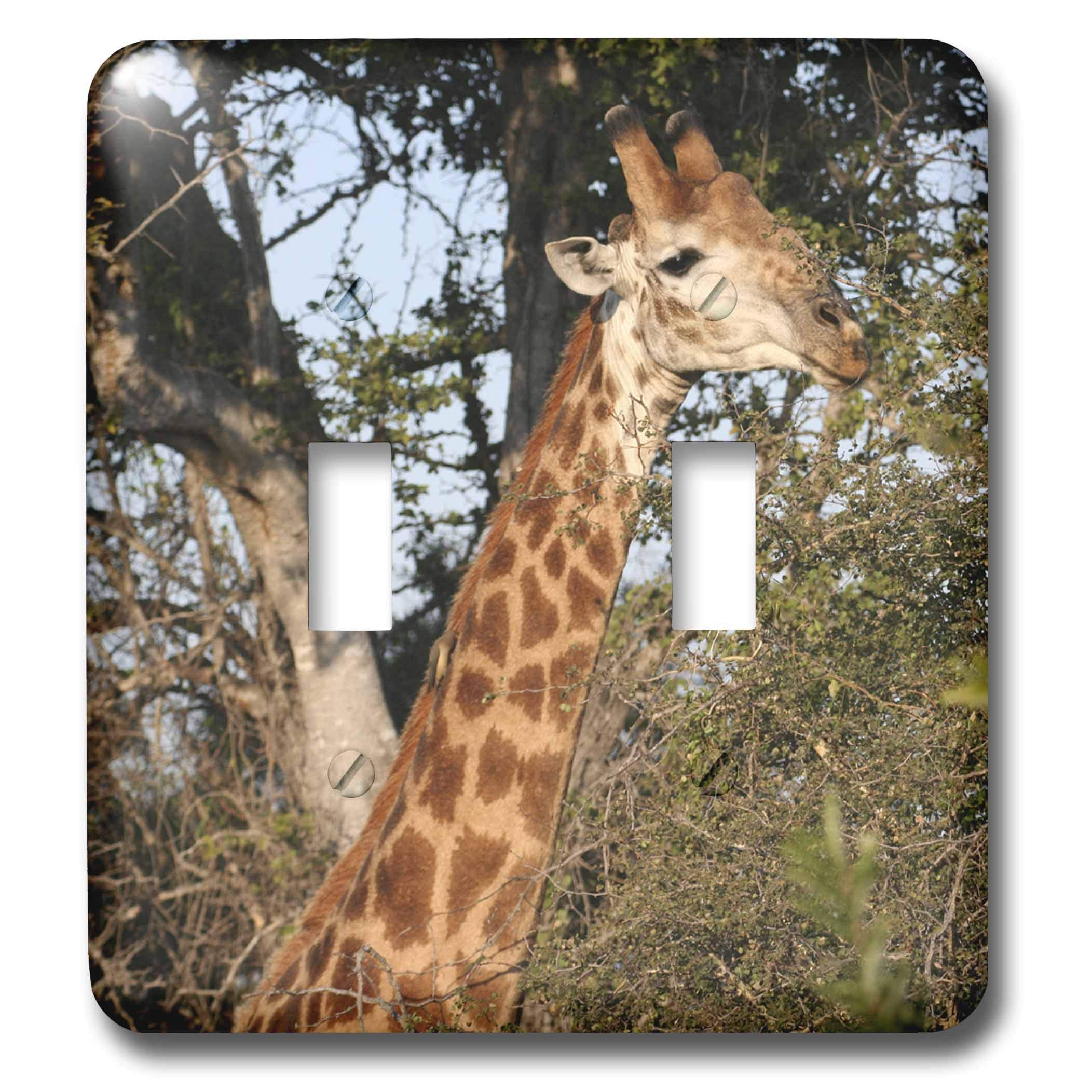Interrupteur à bascule 3dRose lsp_20124_2 à motif girafe du Sud haute définition durable