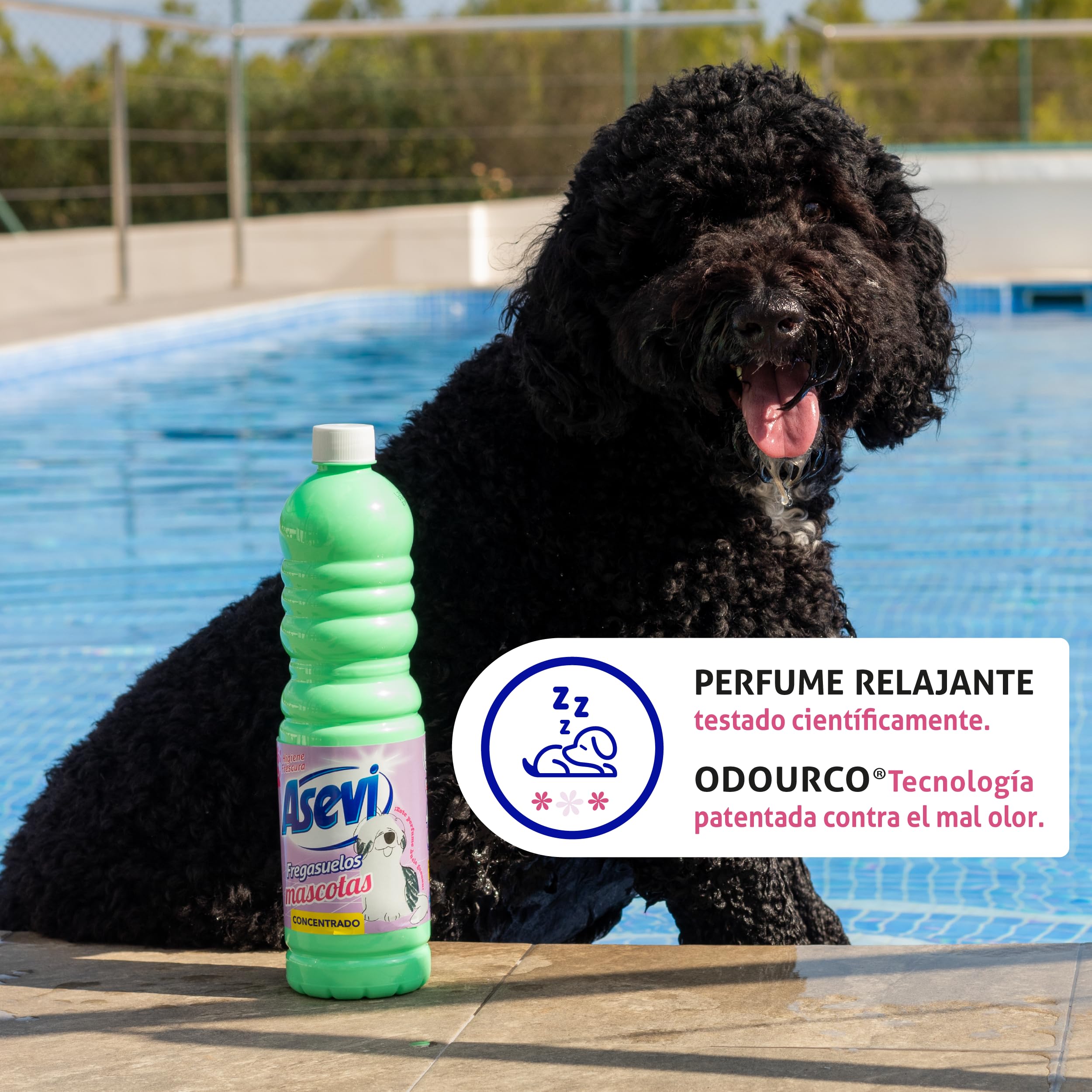 Asevi Fregasuelos Mascotas Concentrado 5 Litros pH Neutro