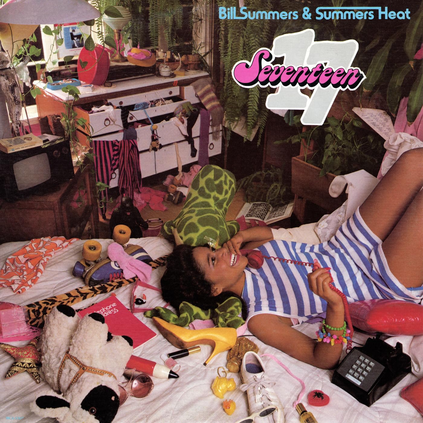 Bill Summers and Summers Heat