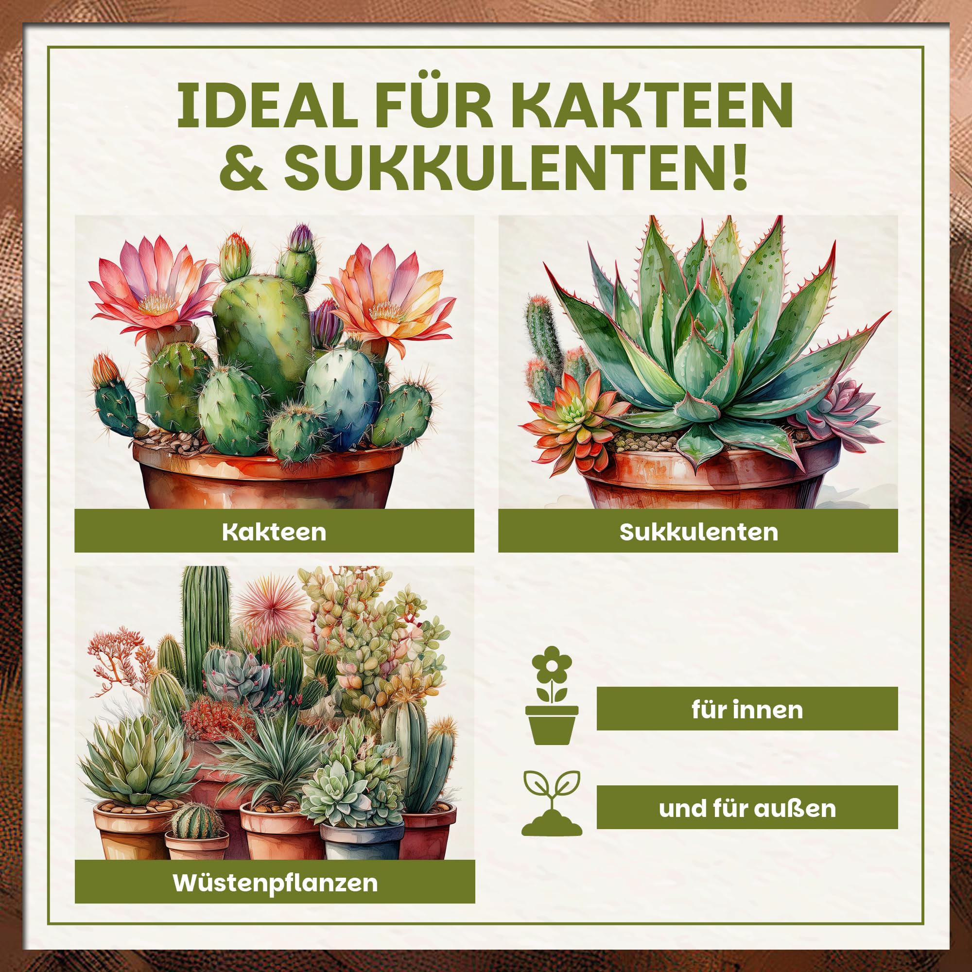 Green Home Kakteen & Sukkulenten Erde 72L mit Perlit. PH-Wert 5,8. Langzeitgedüngt, ideal als Kakteenerde, Sukkulentenerde & Kaktuserde. Substrat für Exoten in Premium Qualität