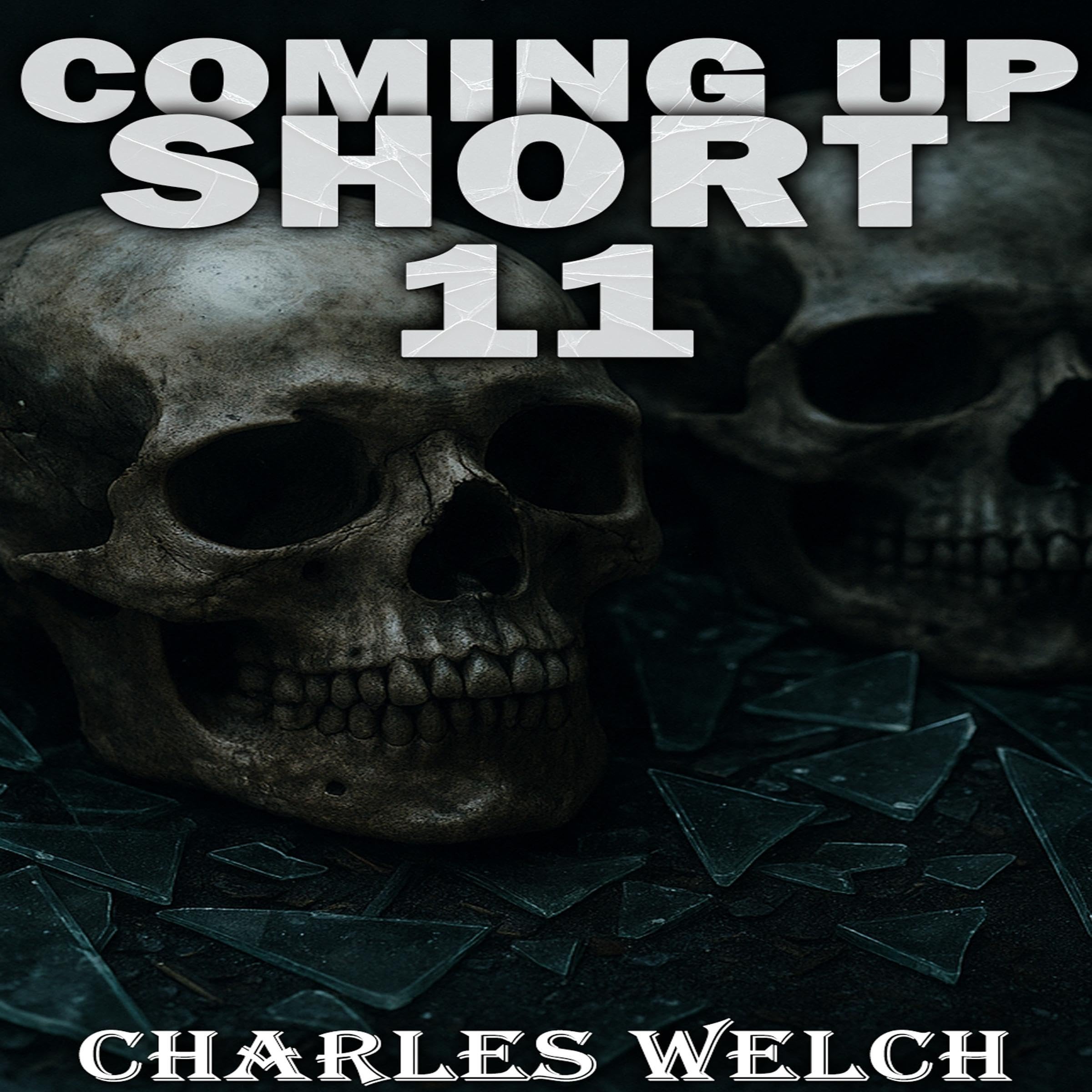 Cover art for Coming Up Short 11