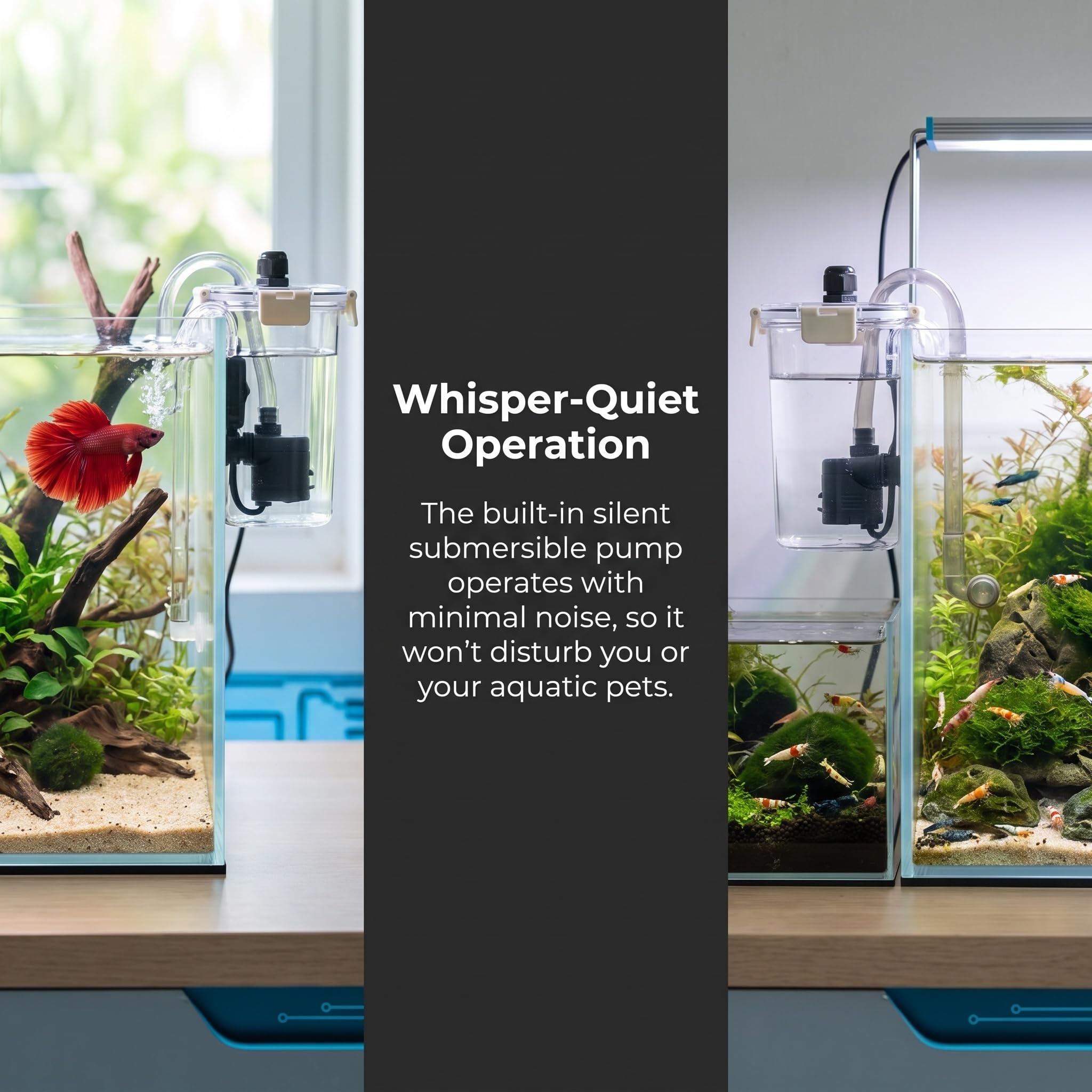 Filtre Externe pour Aquarium, 80/150/200 L/h, Silencieux, avec Tuyau D'arrivée d'eau, Petit Système De Filtration Et De Nettoyage, pour Aquarium De Bureau Nano, Betta Ou Crevettes 80L/H