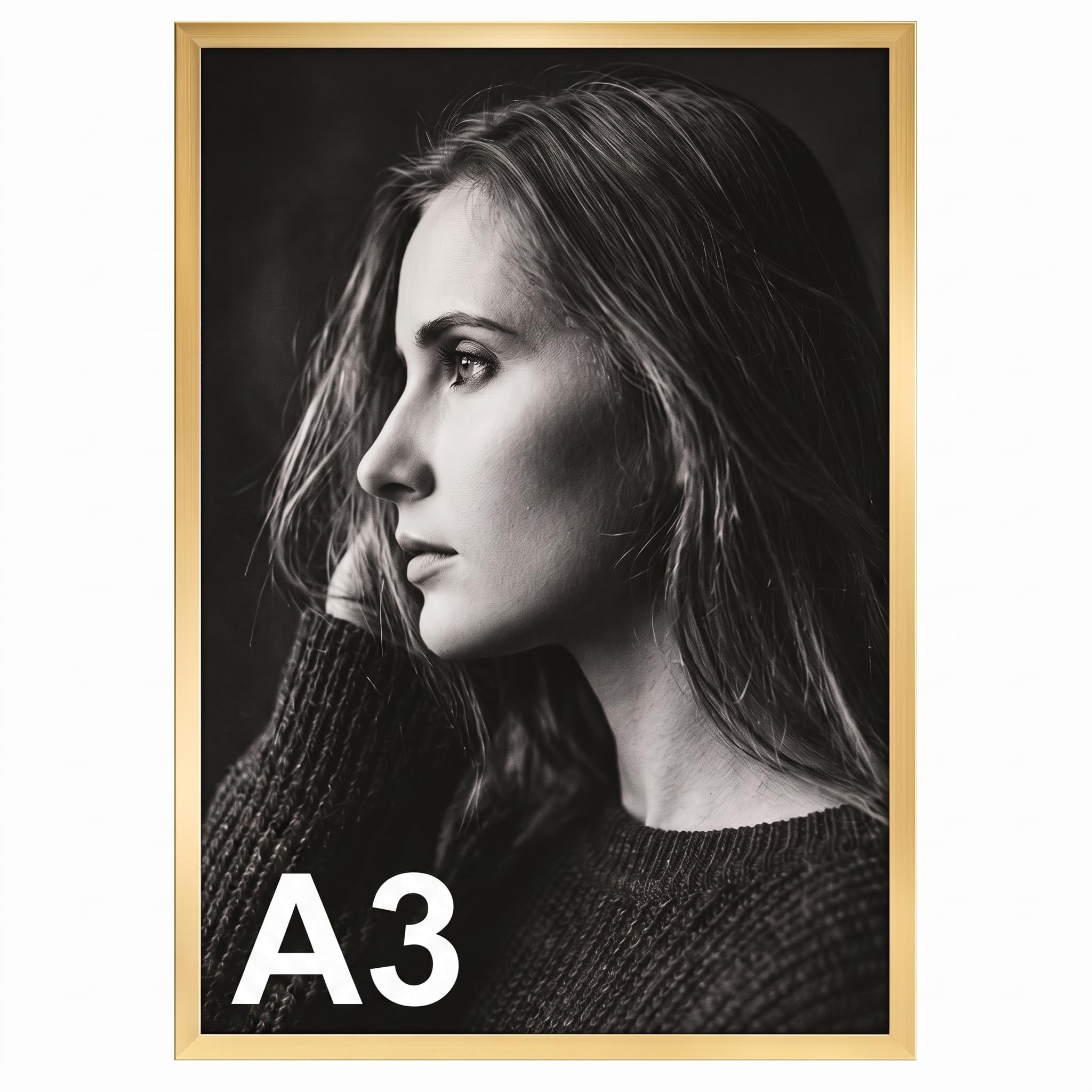 Ditwis A3 Picture Frame Gold, Large Poster Frame for Horizontal or Vertical Wall Display in Living Room, Office, Gallery