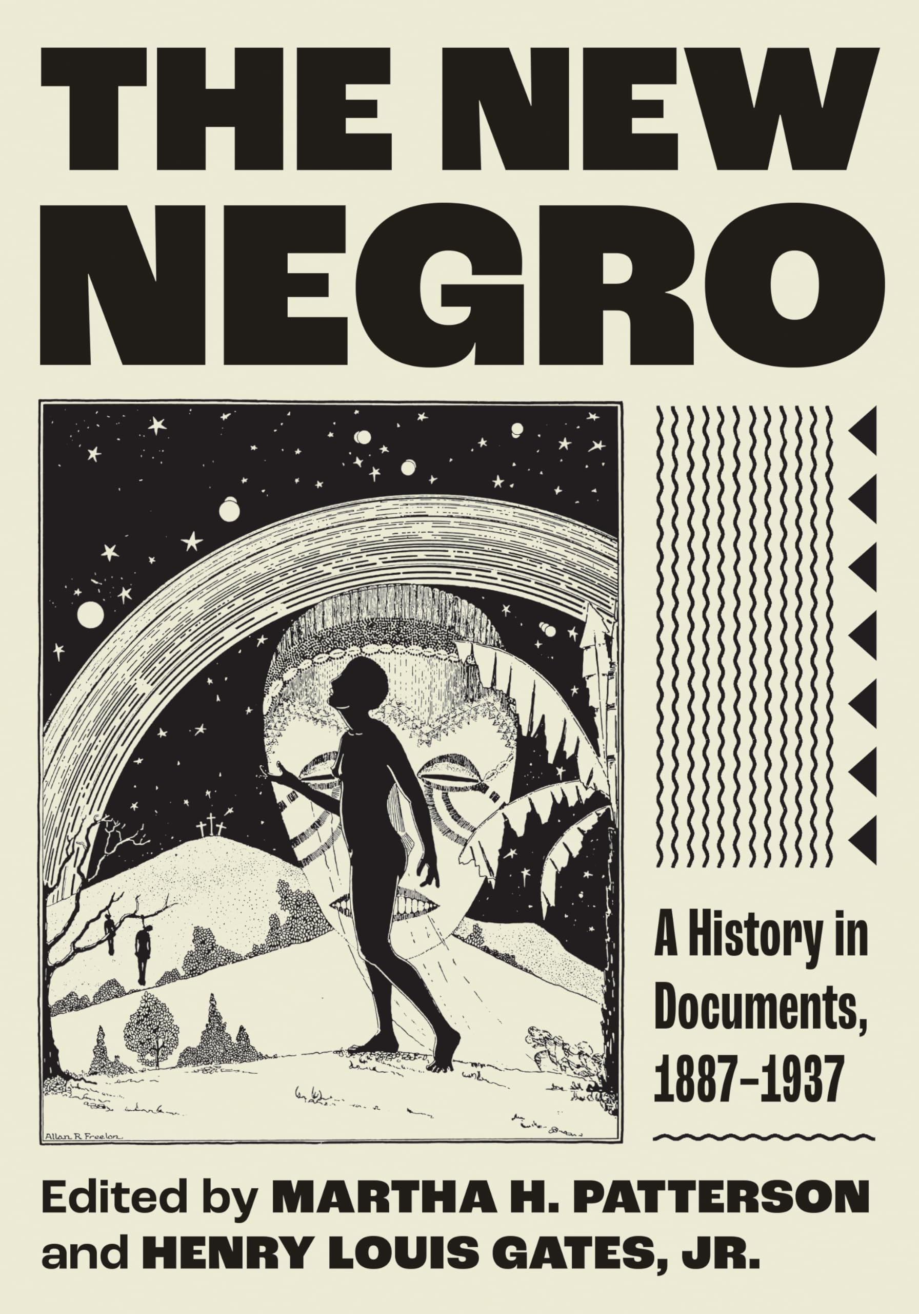 The New Negro by Martha H. Patterson PAPERBACK 9780691268590