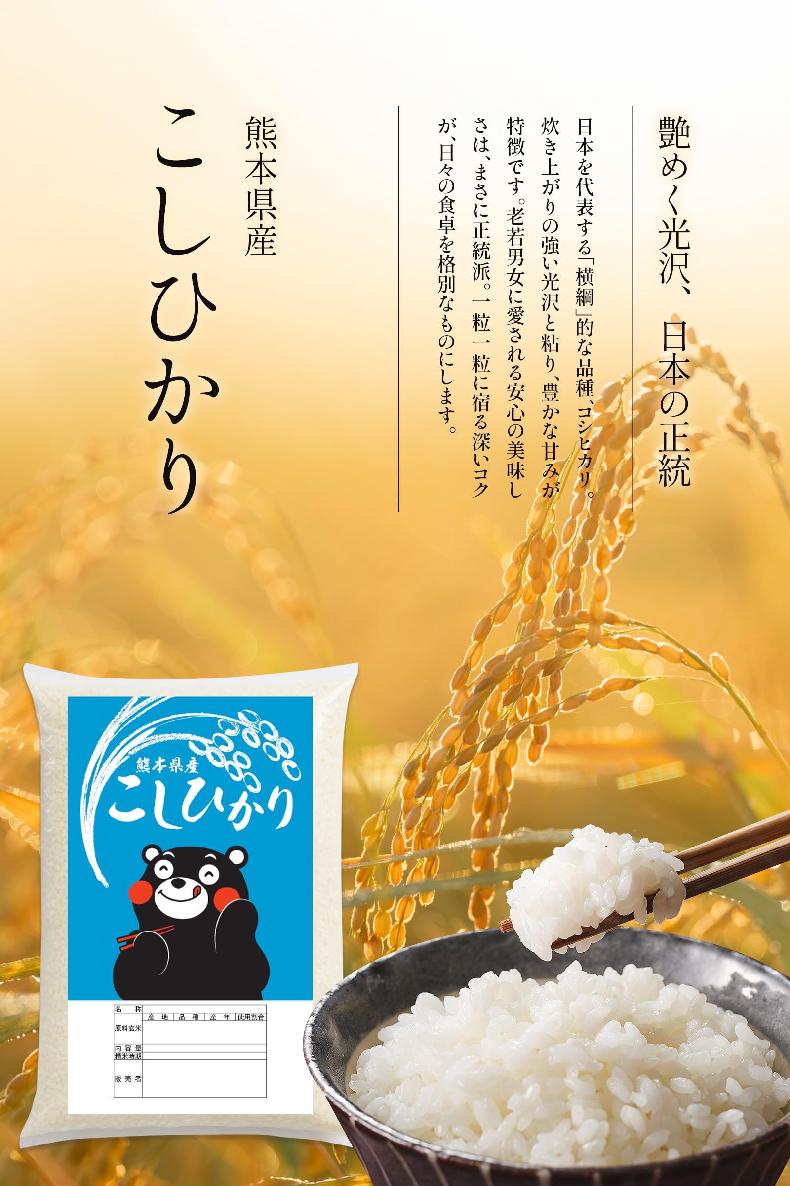 Amazon.co.jp: 【 熊本県産 コシヒカリ 白米 5kg】令和7年産 銘柄米