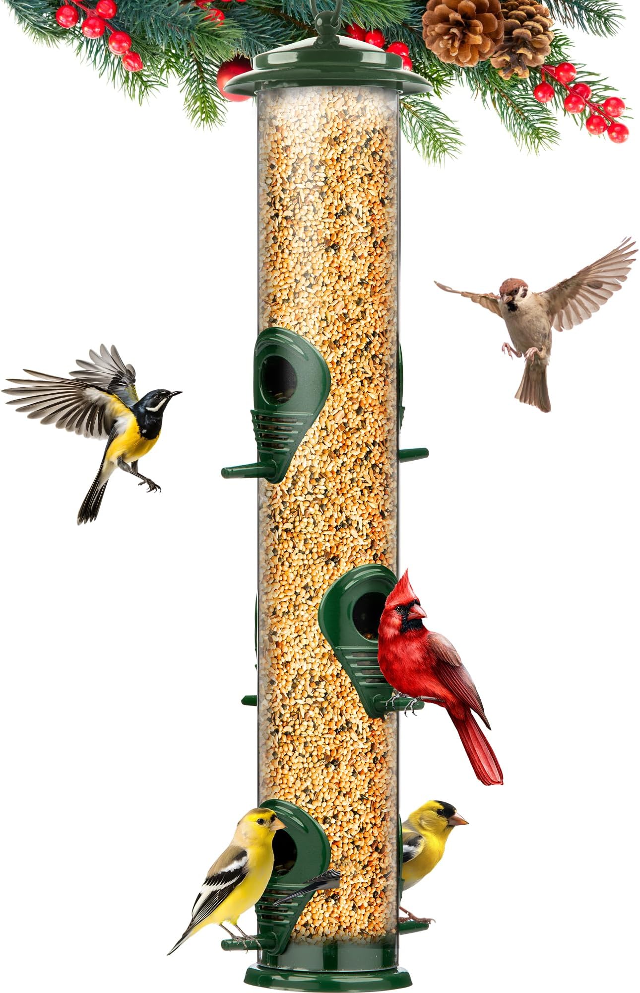 Amazon.com : Droll Yankees Classic Sunflower or Mixed Seed Bird Feeder