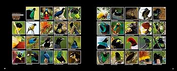 81uEfNo5fvL._AC_UF350,