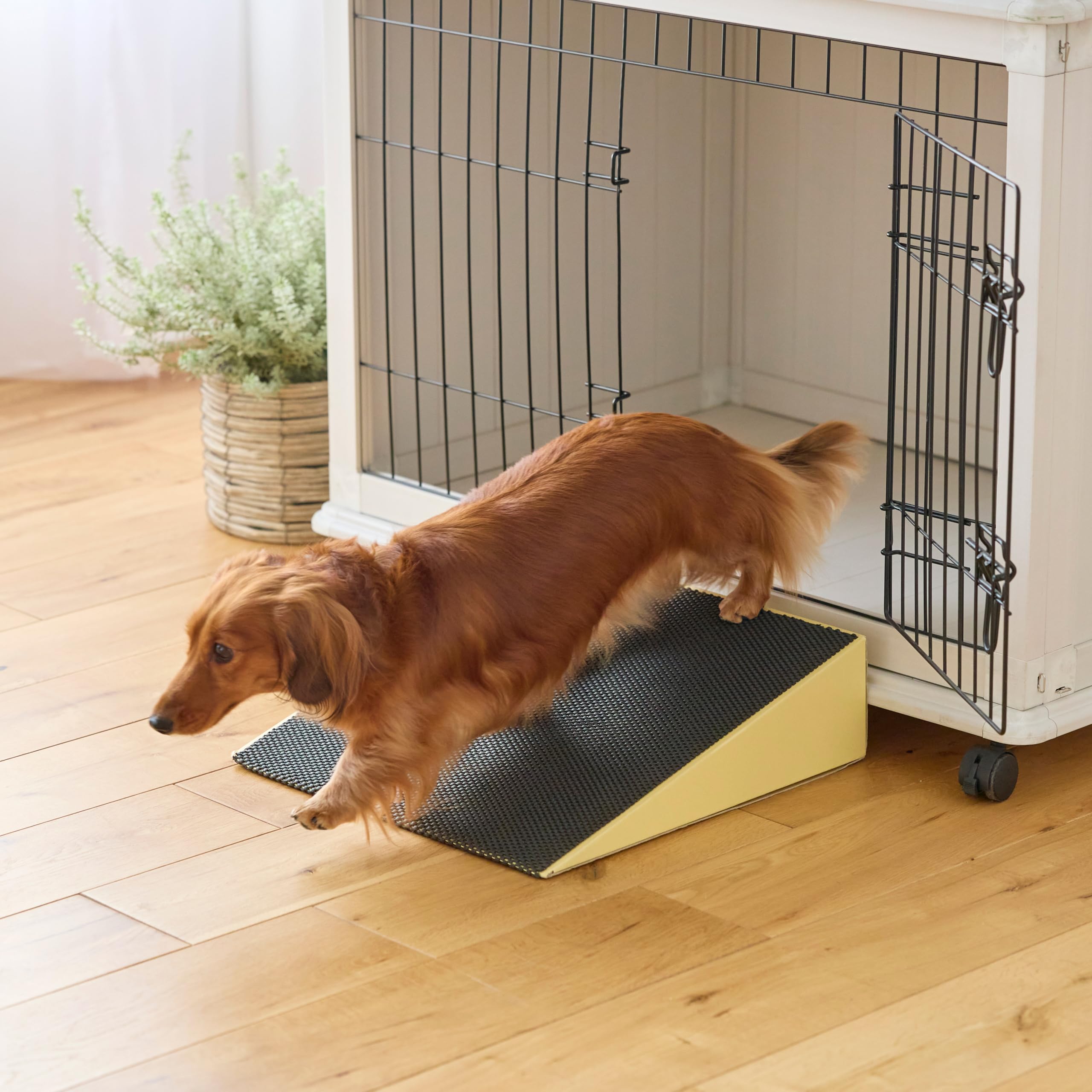Amazon | 犬 シニア スロープ わんこスロープ ゆるやか 段差 老犬
