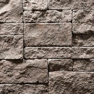 Evolve Stone Capital Sky Fire Rated Flat Stone Veneer (14.25 sq. ft. per...