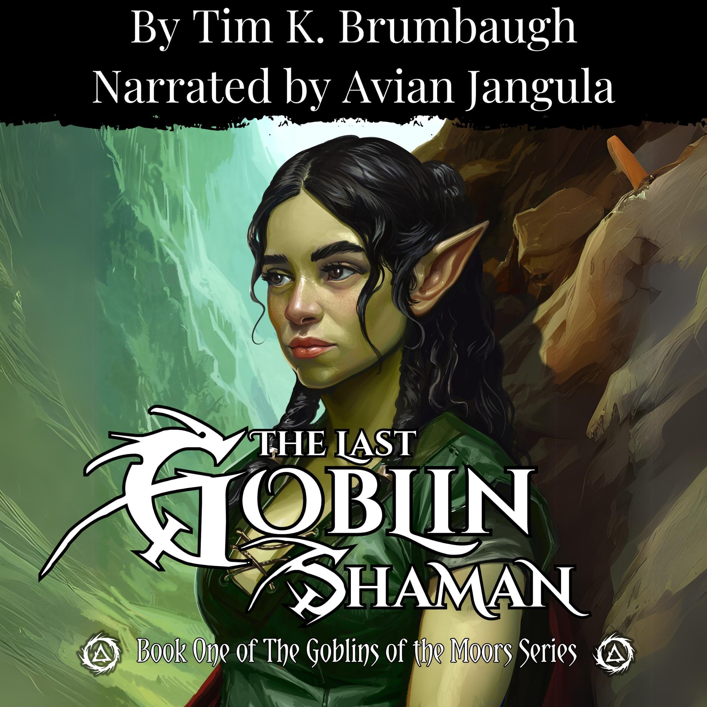 Cover art for The Last Goblin Shaman