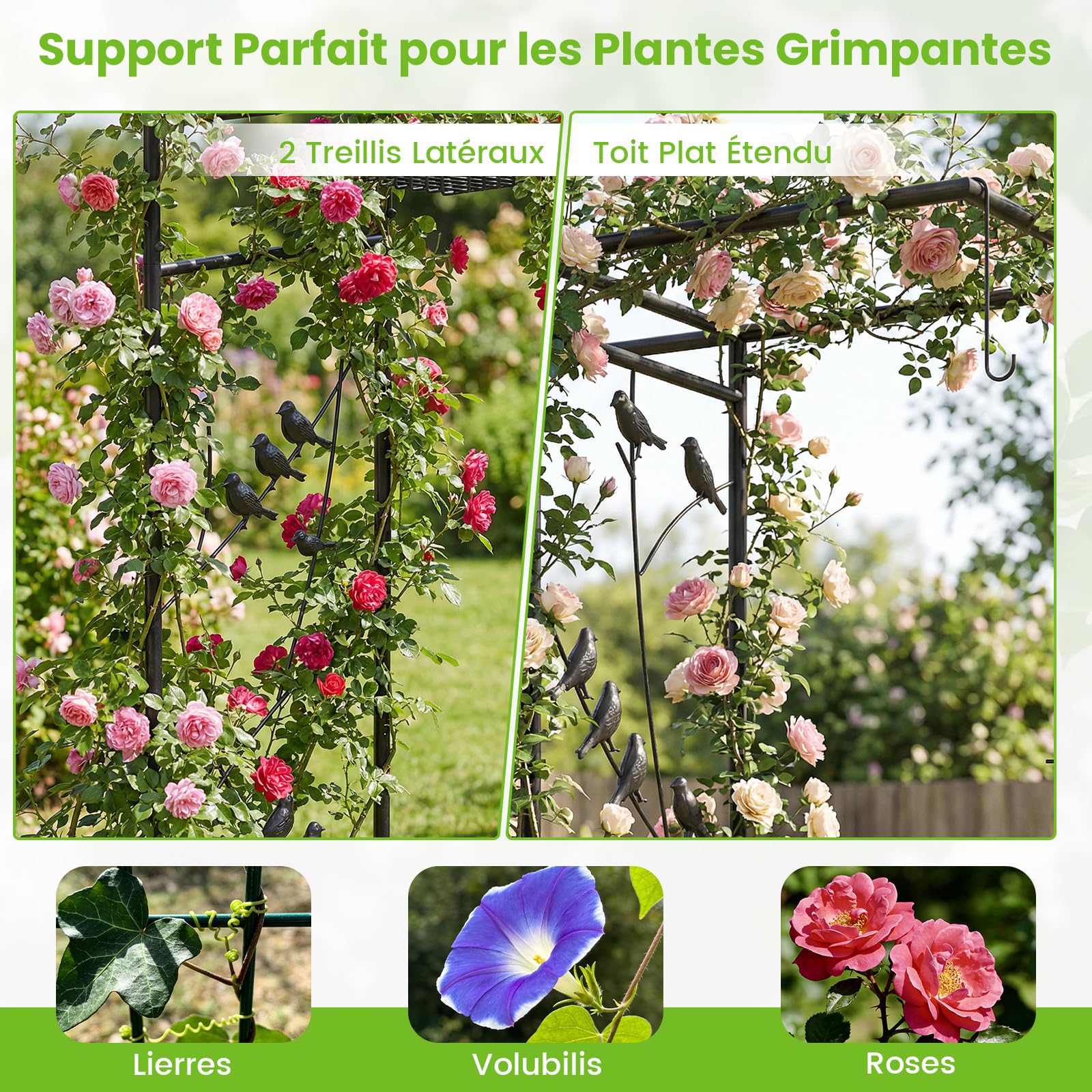COSTWAY Arche de Jardin pour Roses, Treillis Arc 2 en 1 (Noir)