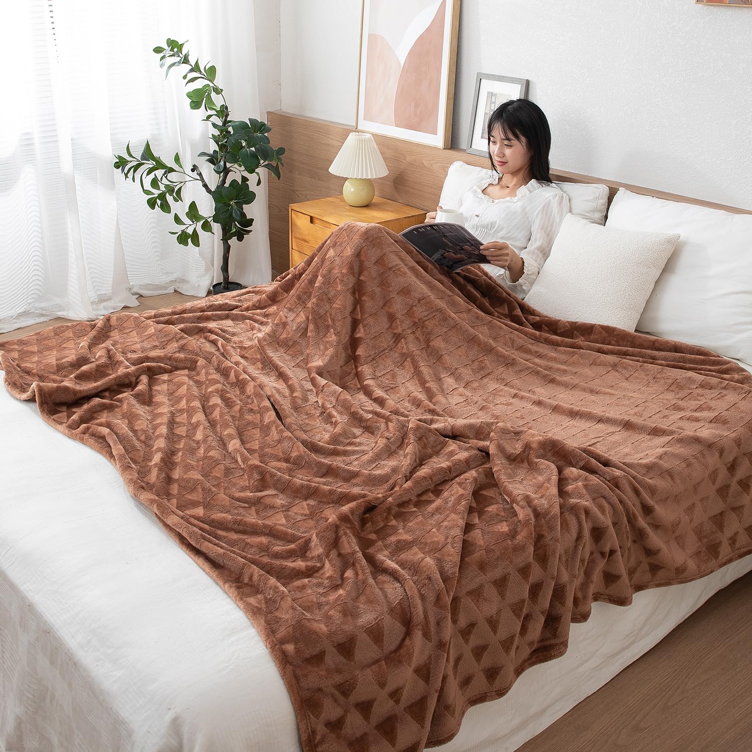 HOKIPO AC Blanket Double Bed Queen, 200x230 cm / 6.5x7.5 feet, Brown (AR-4919-BRN)-image-4