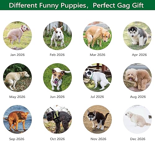 Miniatura 6 de Gag Gifts - Calendario 2021, calendario de pared, perros haciendo popo, para regalos de broma, enero a diciembre del 2021, 28 x 43.18 cm (11.0 x