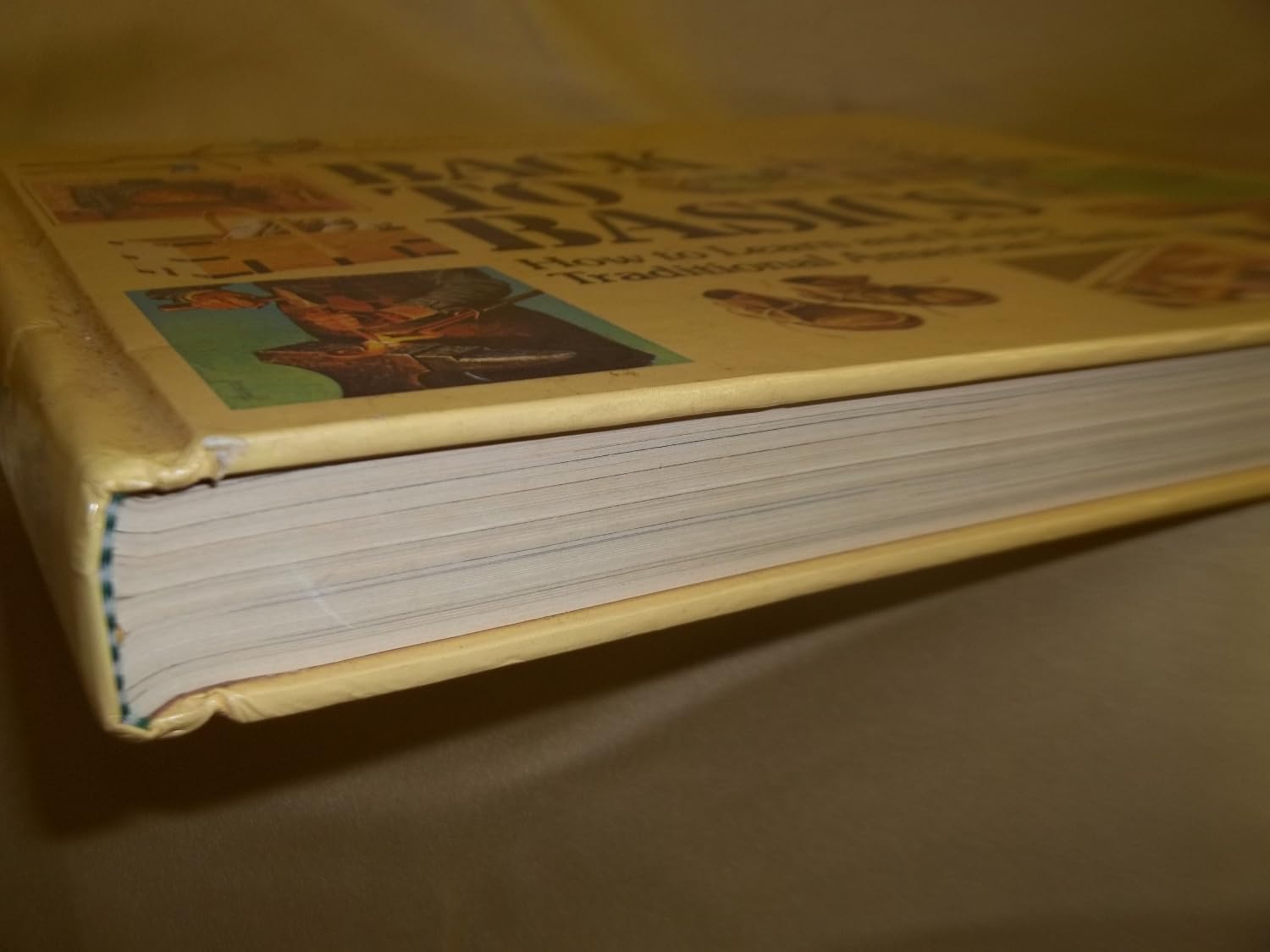 Reader's Digest Back to the Basics: How to Learn and Enjoy Traditional American Skills