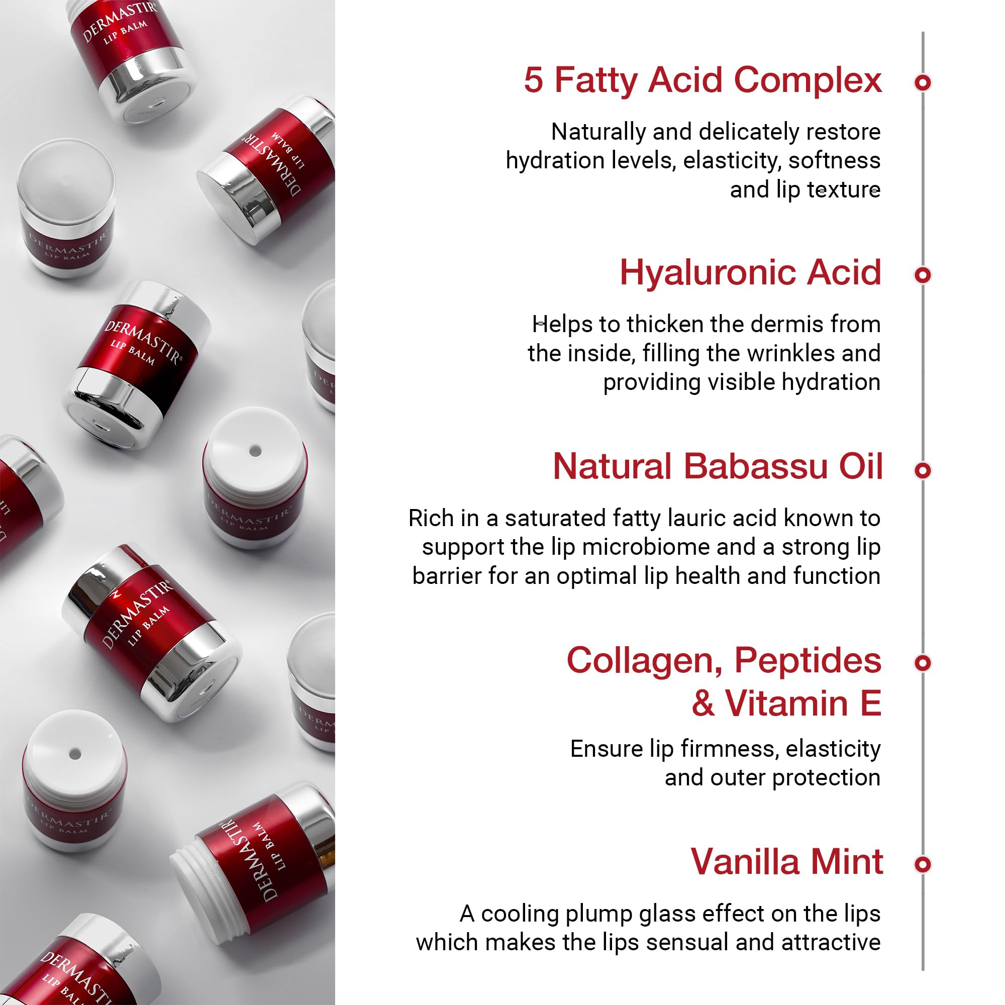 Dermastir Lip Balm, Lippenbalsam - spendet Feuchtigkeit, schützt und repariert mit 5 Fettsäuren, Kollagen, Peptiden und Vitamin E - 15 ml