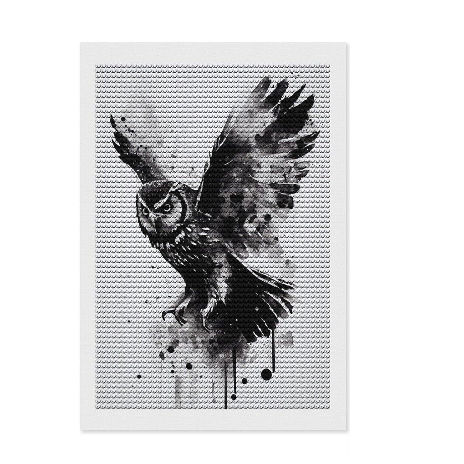 Junmoney Owl Black and White Round Drill Diamond Painting 8"x12", for Creative Relaxation, Full Kit Included, Boho Decor, Gift Idea