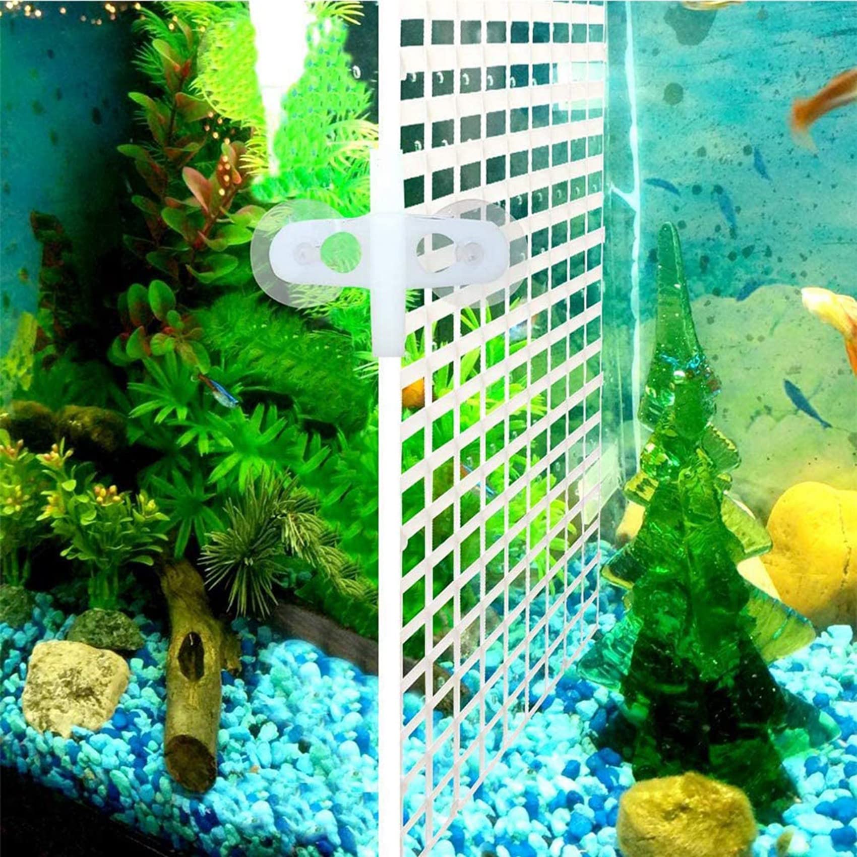 10 pezzi divisori per acquario, divisori per acquario, griglia separata, vassoio isolante, griglia con 20 ventose