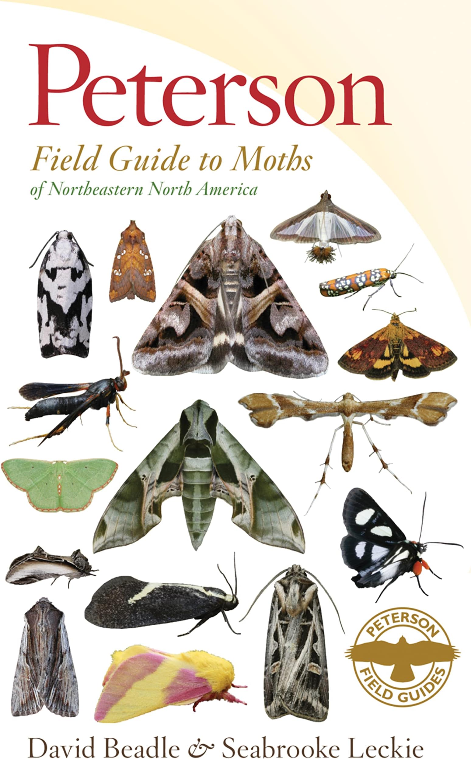 Peterson Field Guide To Moths Of Northeastern North America