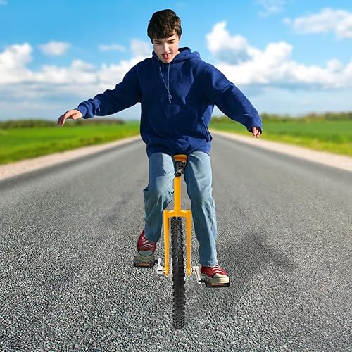 Miniatura 69 de Monociclo de rueda, bicicleta de una rueda con borde y pedales, monociclos de acero modernos para edades unisex de 10 a 60 años, entrenamiento