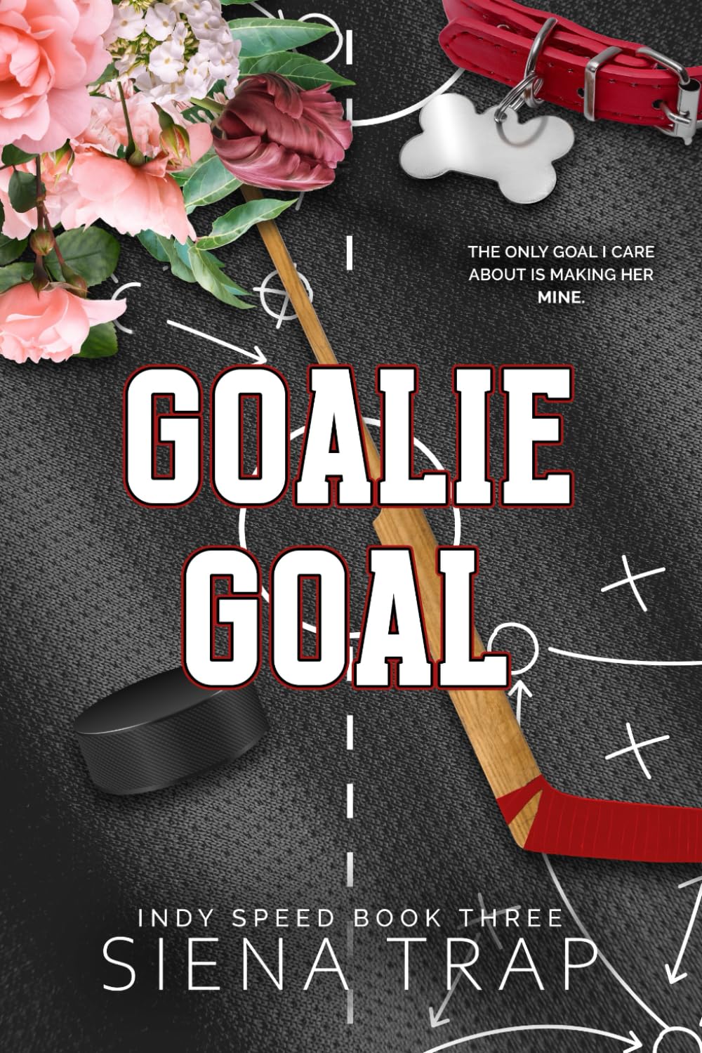 Goalie Goal: A Hockey Romance (Indy Speed Hockey)